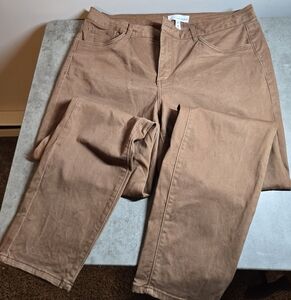 LOFT Brown Slim Fit Pants (31/12)